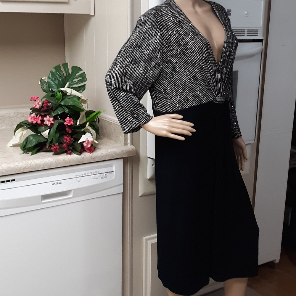 Elegant Evening Attire, Alex Evenings